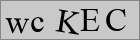Sicherheitscode
