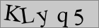 Sicherheitscode