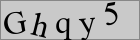 Sicherheitscode
