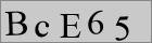 Sicherheitscode