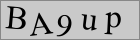 Sicherheitscode