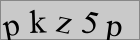 Sicherheitscode