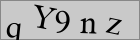 Sicherheitscode