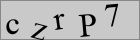 Sicherheitscode