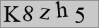 Sicherheitscode