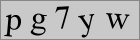 Sicherheitscode