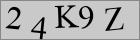 Sicherheitscode