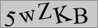 Sicherheitscode