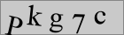 Sicherheitscode